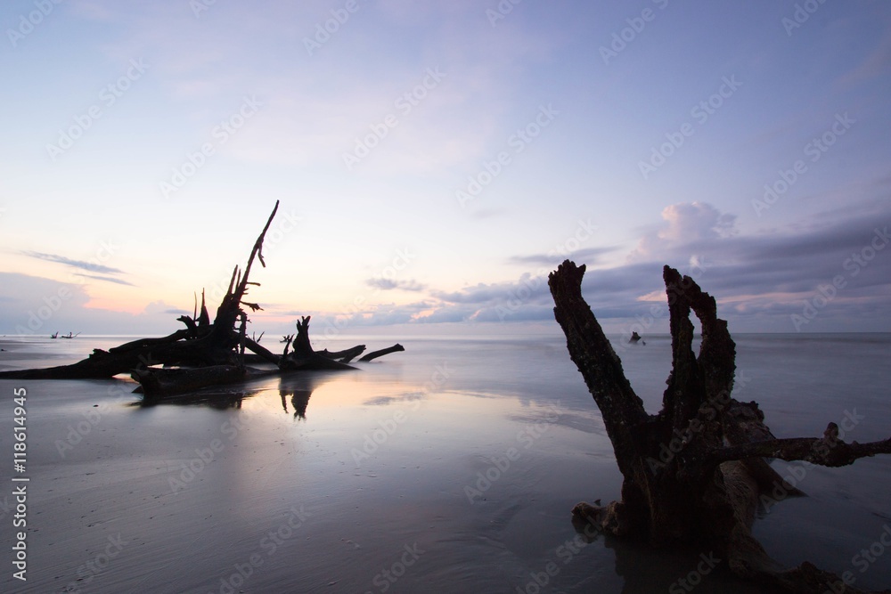 Boneyard Beach, Bulls Island, South Carolina