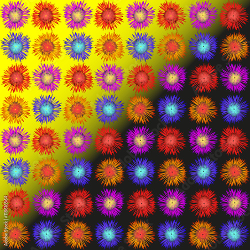 Asters  daisies and hyacinths. The clear geometric background of colorful flowers on a yellow-black background.  