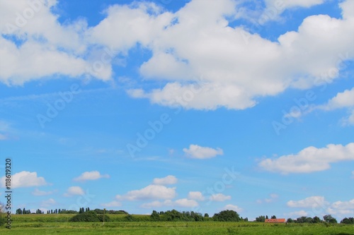 meadow