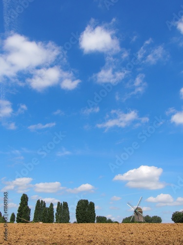 field with an old windmill 4