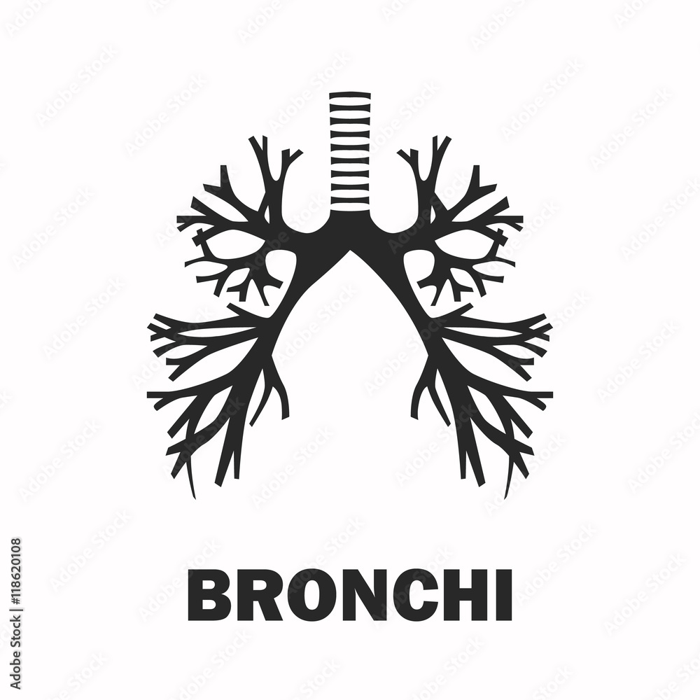 Foto Human bronchus black icon