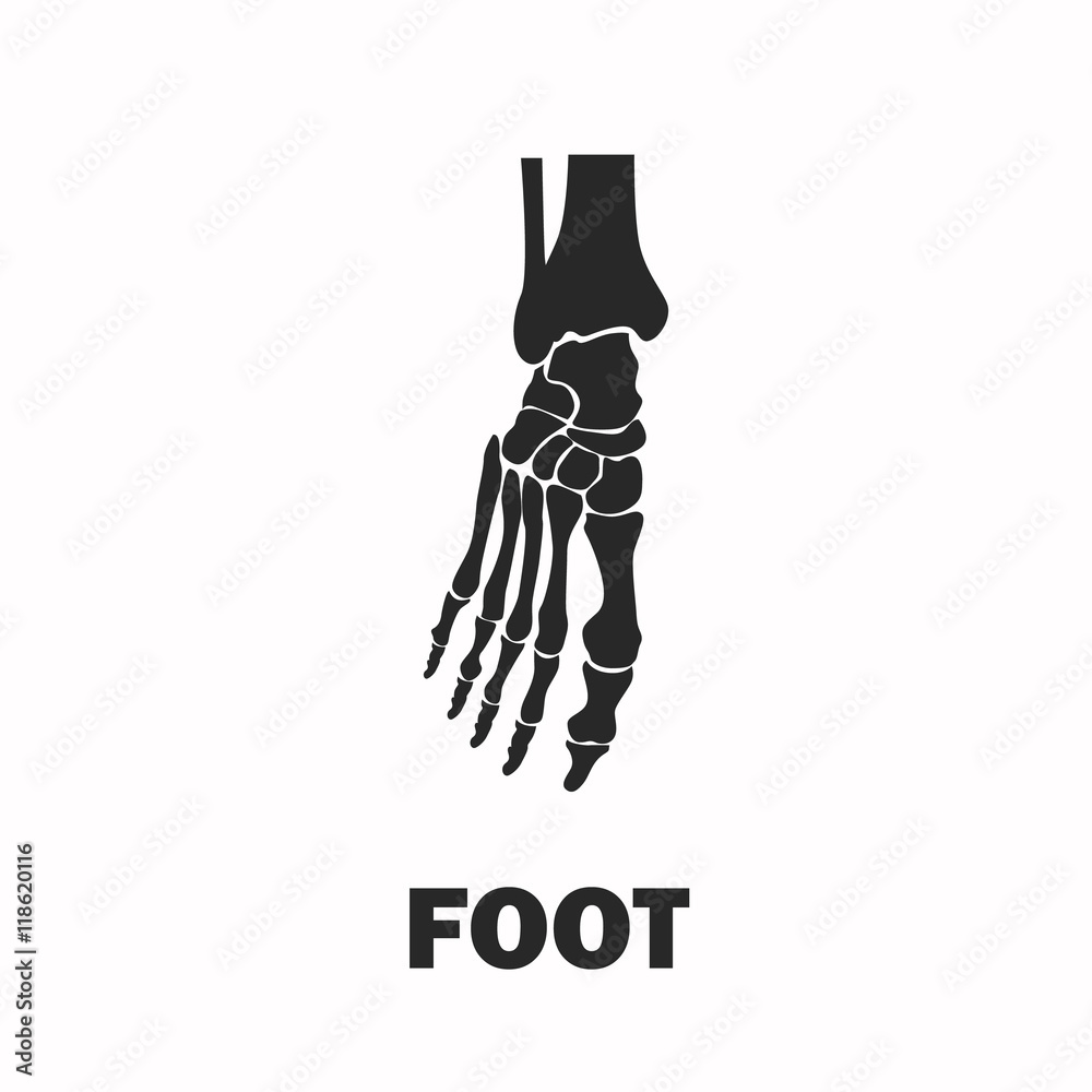 Foot skeleton black icon Foot skeleton black icon