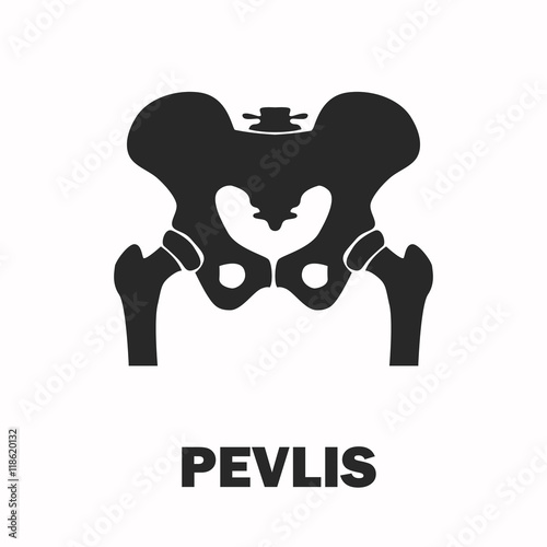 Human pelvic bones black icon