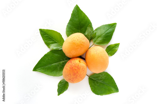 Isolated fresh orange apricots