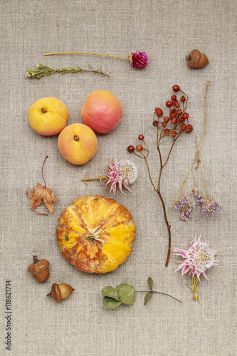 Autumn flowers, plants and fruits on jute background
