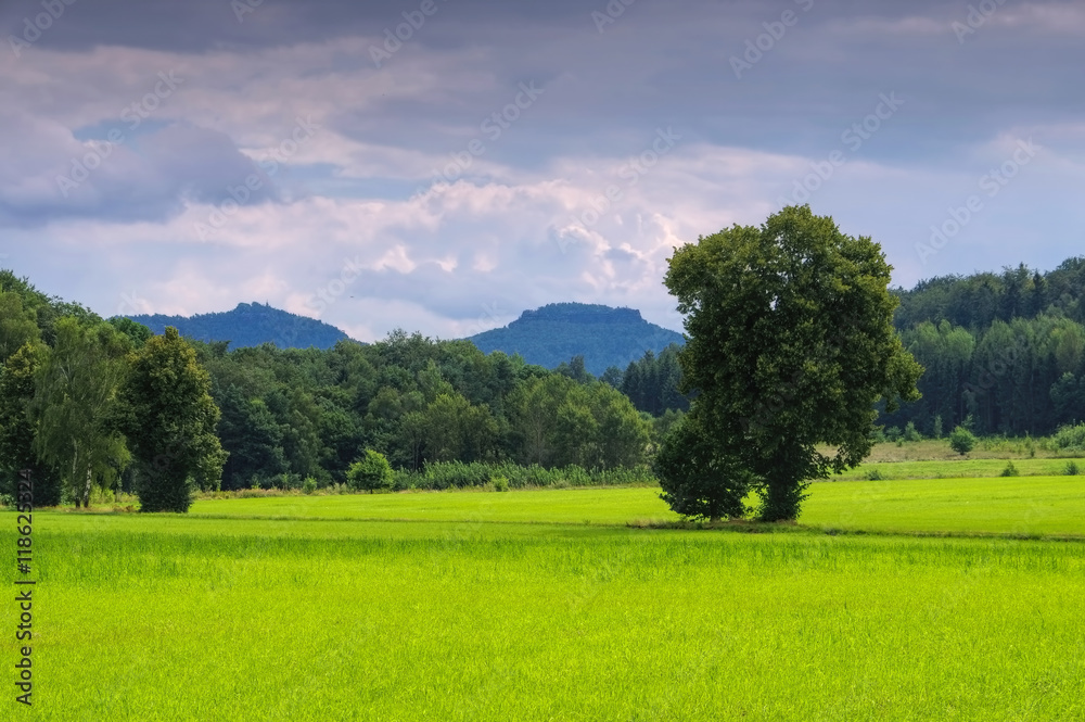 Papststein - mountain Papststein in Saxon Switzerland
