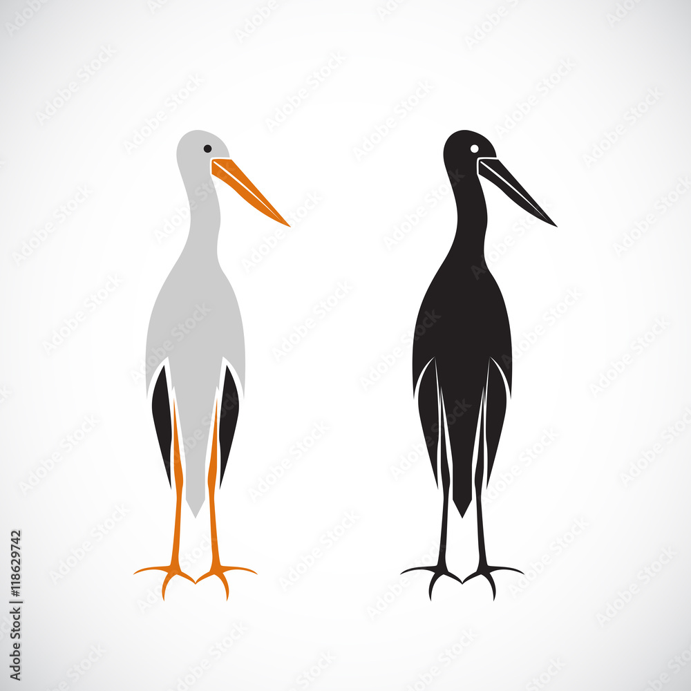 Fototapeta premium Vector of stork design on white background.