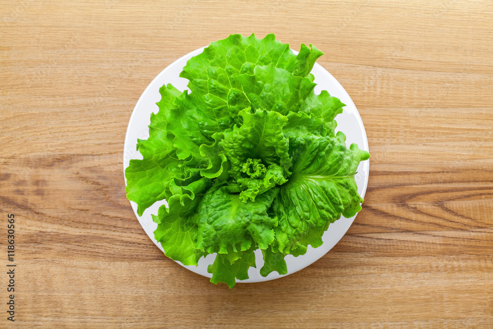 Fresh lettuce on a plate. Abstract concept of healthy vegetarian food. Top view. Fresh lettuce on a plate. Abstract concept of healthy vegetarian food. Top view.
