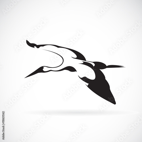 Vector of a flying stork on white background.