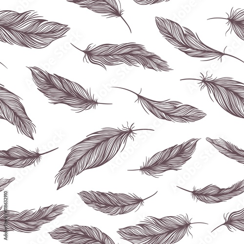 Vector Feather Pattern
