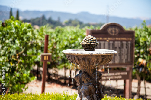 Napa Valley winery in the summer 