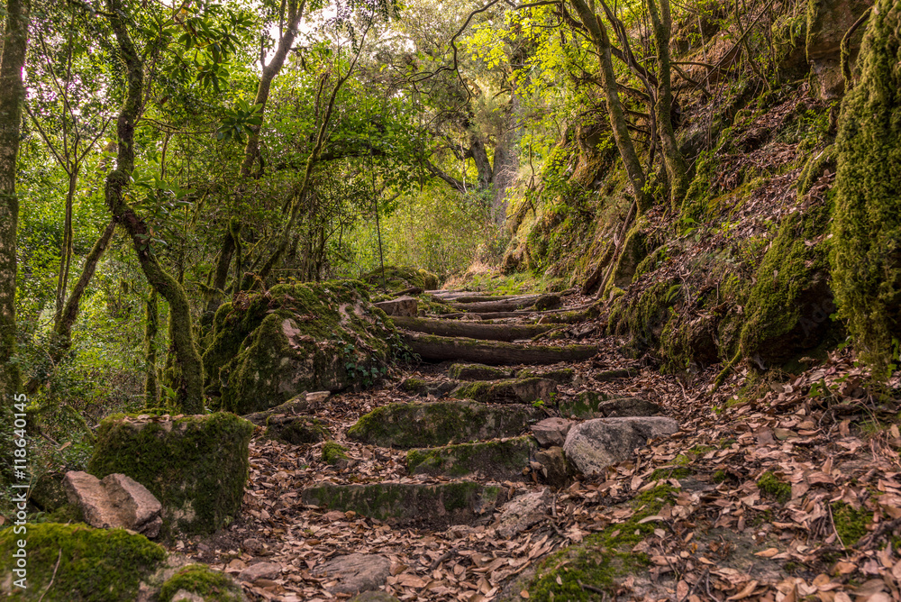 Basic staircase on a hike in the mountains in Corsica