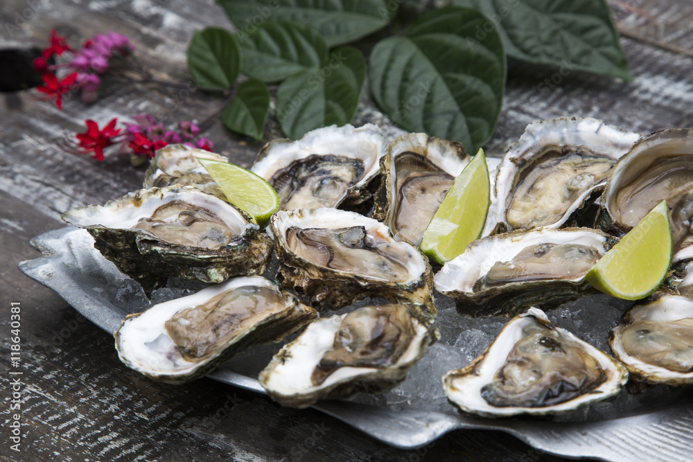 Tasty oysters on ice with lemon. Tasty oysters on ice with lemon.