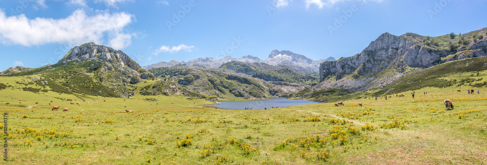 Lago de la Ercina Bergsee im Parque Nacional de los Picos de Europa (Picos d’Europa) Asturies (Asturien, Asturias) Spanien (España)
