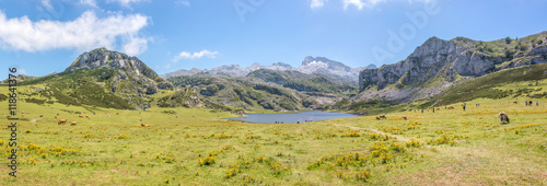Lago de la Ercina Bergsee im Parque Nacional de los Picos de Europa  Picos d   Europa  Asturies  Asturien  Asturias  Spanien  Espa  a 