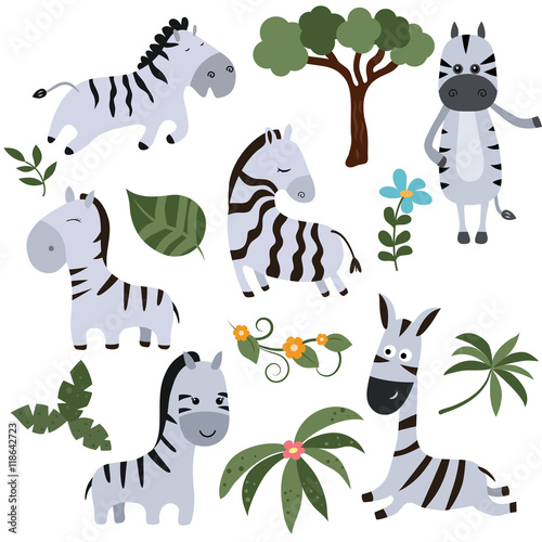 Set funny zebras