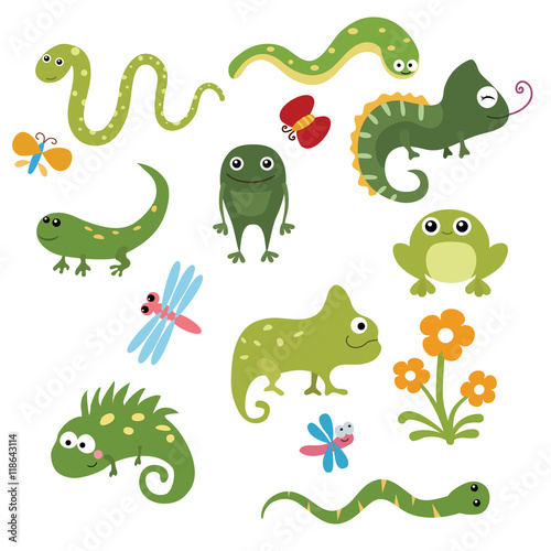 Set funny reptiles