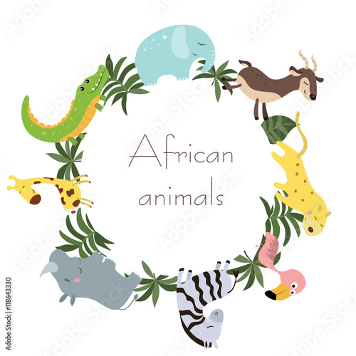 Wild African animals
