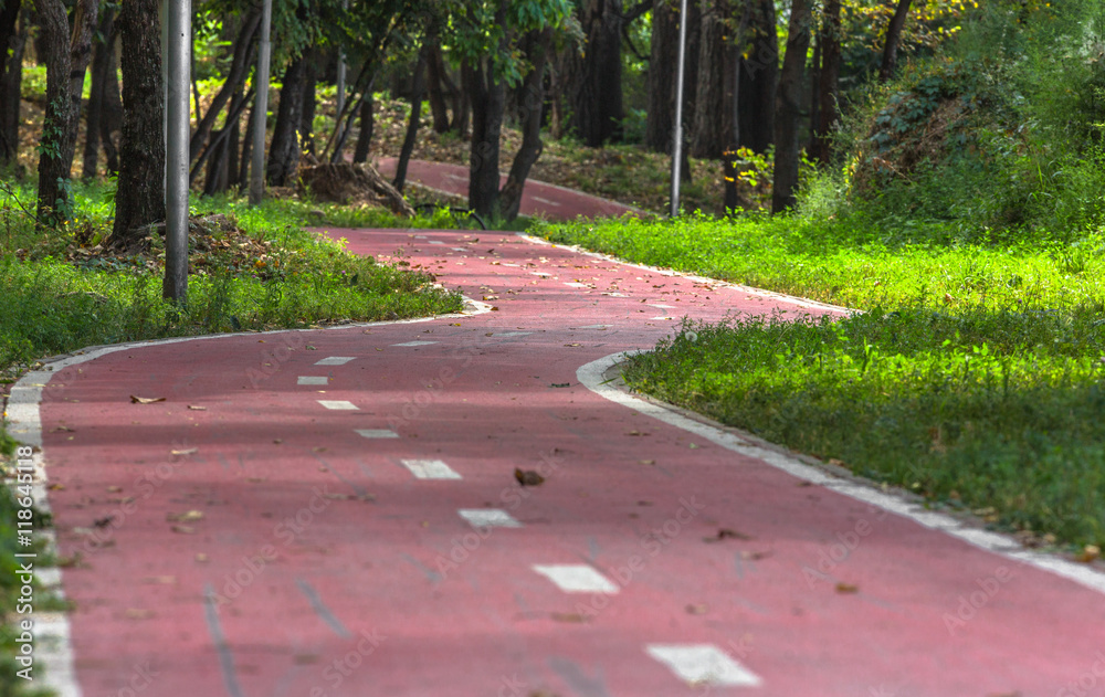 red bicycle path in a park
