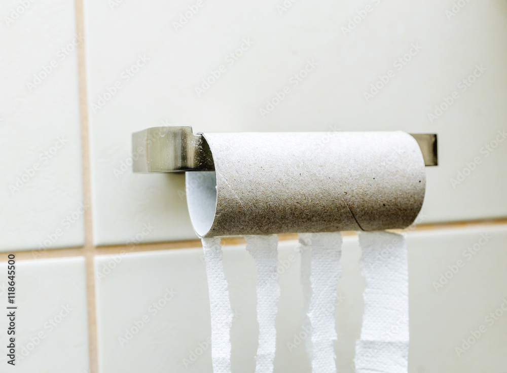 Obraz premium Leere Toilettenpapierrollen