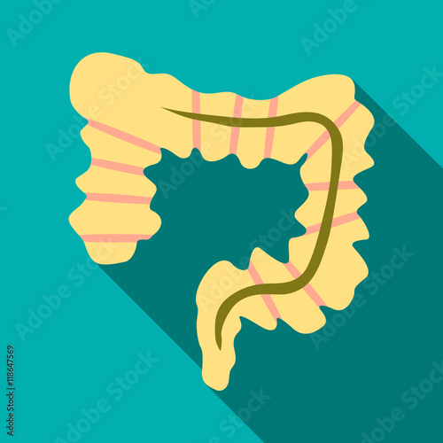 Intestine icon in flat style with long shadow. Human organs symbol