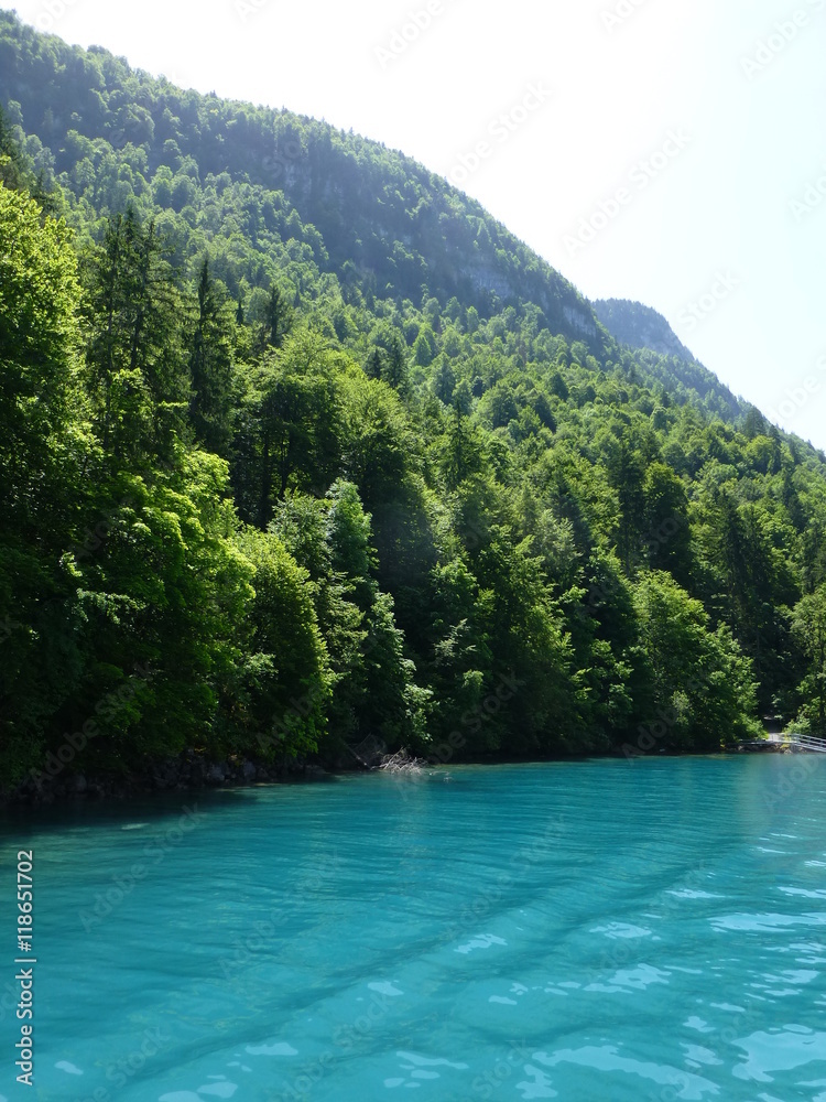 Deep turquoise waters of Brienzersee lake, Switzerland, with lush green forest on the lakeside near Giessbach 