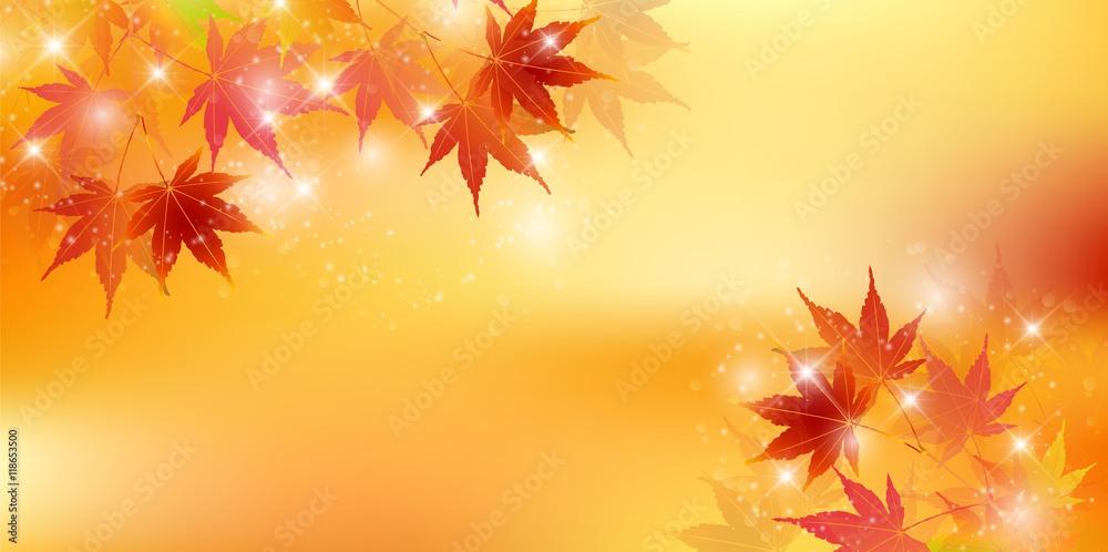紅葉 秋 風景 背景 紅葉 秋 風景 背景
