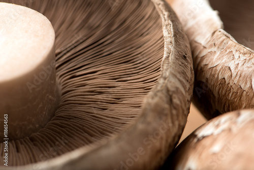 uncooked portobello mushrooms, isolated on a cutting board, closeup, horizontal