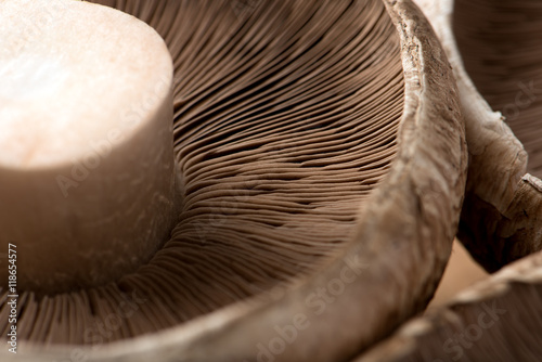 uncooked portobello mushrooms, isolated on a cutting board, closeup, horizontal photo