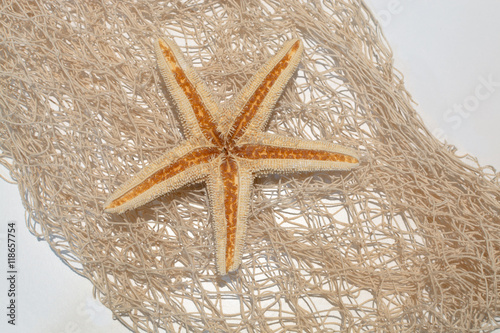 Sea star on a netting background - concept of beach stationery or greeting card photo