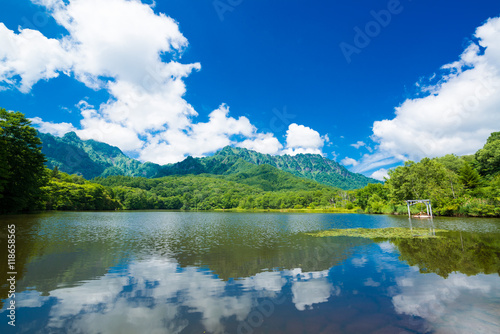 Verdure and Pond