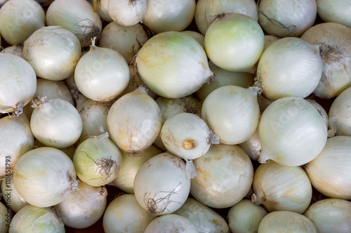 Fresh white onions.
