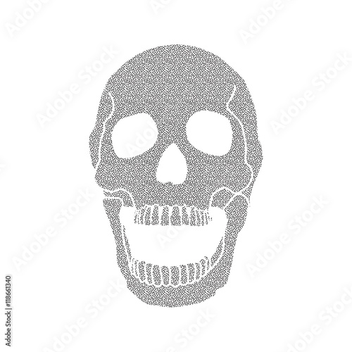 Black and white human skull