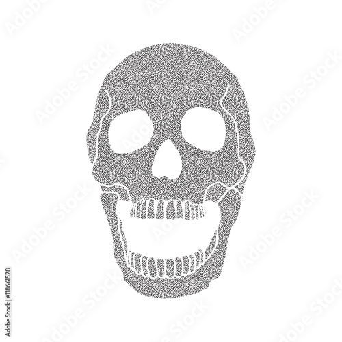 Black and white human skull