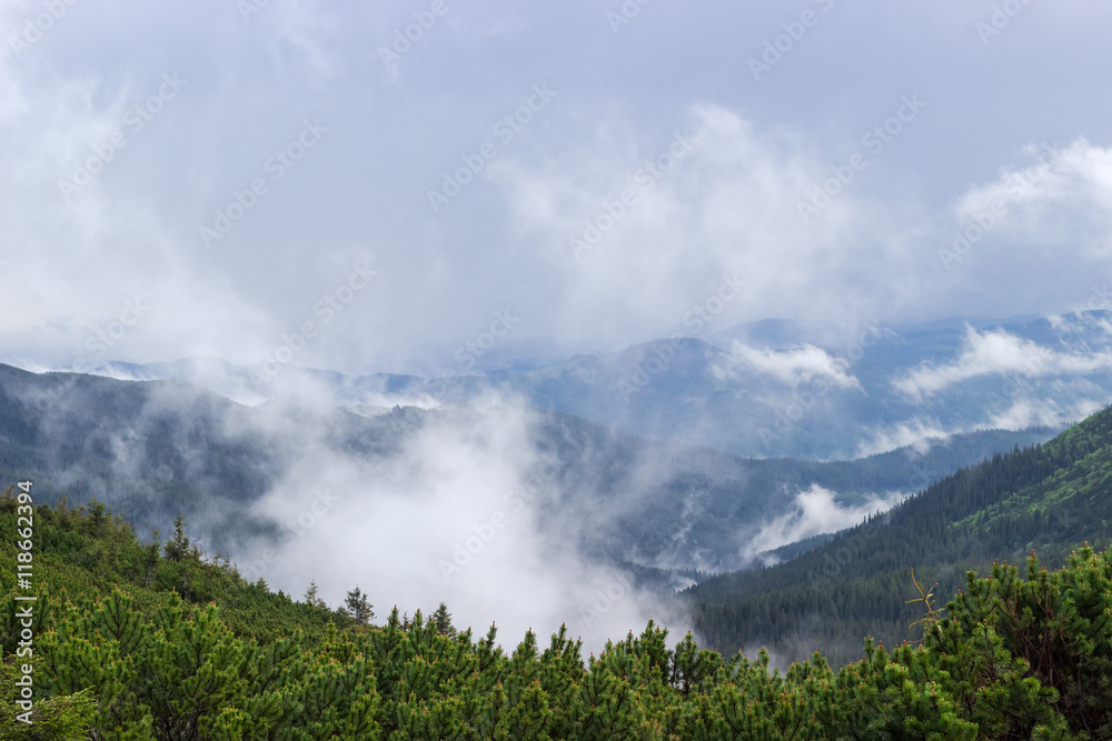 Clouds in a mountain valley after the rain