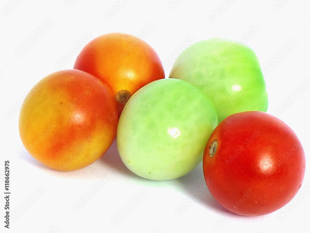 tomatoes food vegetable nature plant white background tomatoes food vegetable nature plant white background