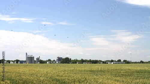 Western Minnesota 14 - Farm and Field with Birds