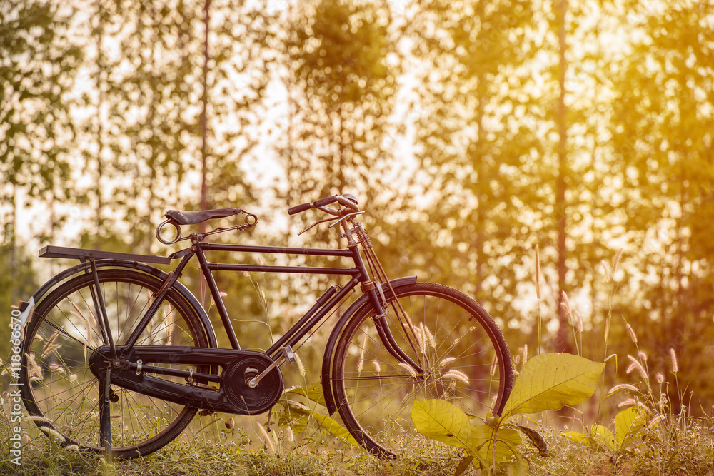 landscape image vintage Bicycle at sunset with summer grassfield