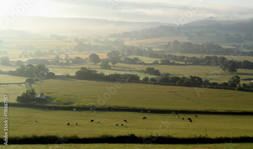 Fototapeta Naklejka Na Ścianę i Meble -  Early morning in Axe Valley, East Devon, England