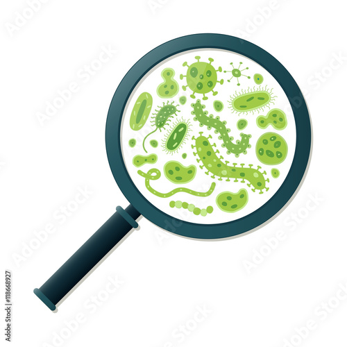 Green germs and magnifying glass - Vector illustration

