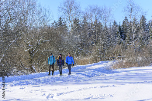 entspannter Spaziergang in winterlicher Umgebung