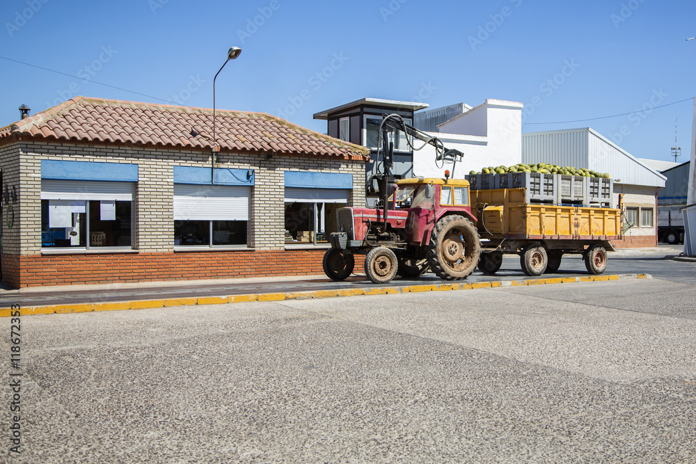 Tractor con melones en báscula de pesaje en cooperativa