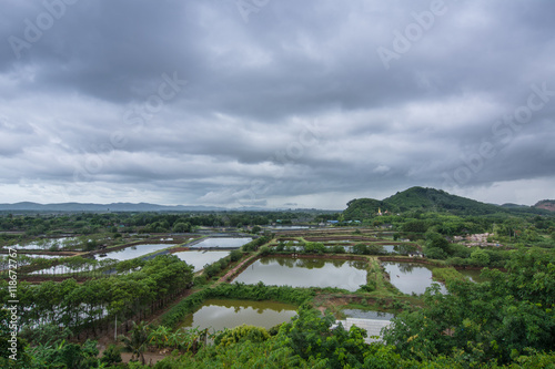 Landscape rural shrimp farm  in Chanthaburi Thailand.