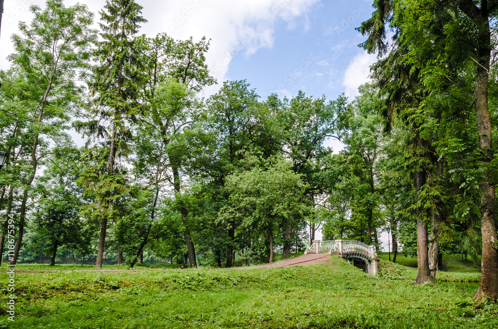 Openwork bridge in the Gatchina Palace Park Openwork bridge in the Gatchina Palace Park