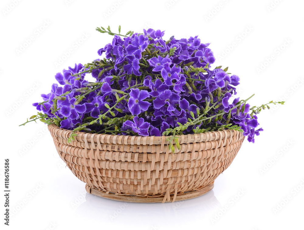 Purple flowers in basket Purple flowers in basket