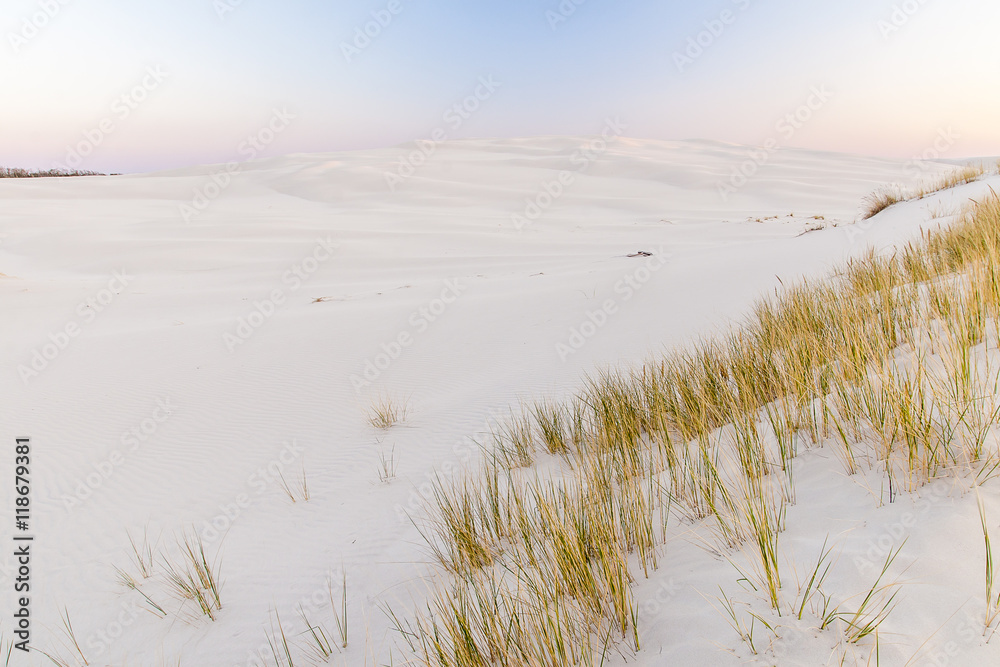 beautiful view of the coastal dunes beautiful view of the coastal dunes