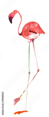 Naklejka na ścianę flaming akwarela