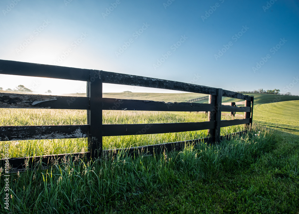 Low Angle of Horse Farm Fence