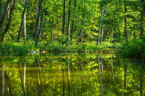 Kayaking by wild river in poland (Omulew river)