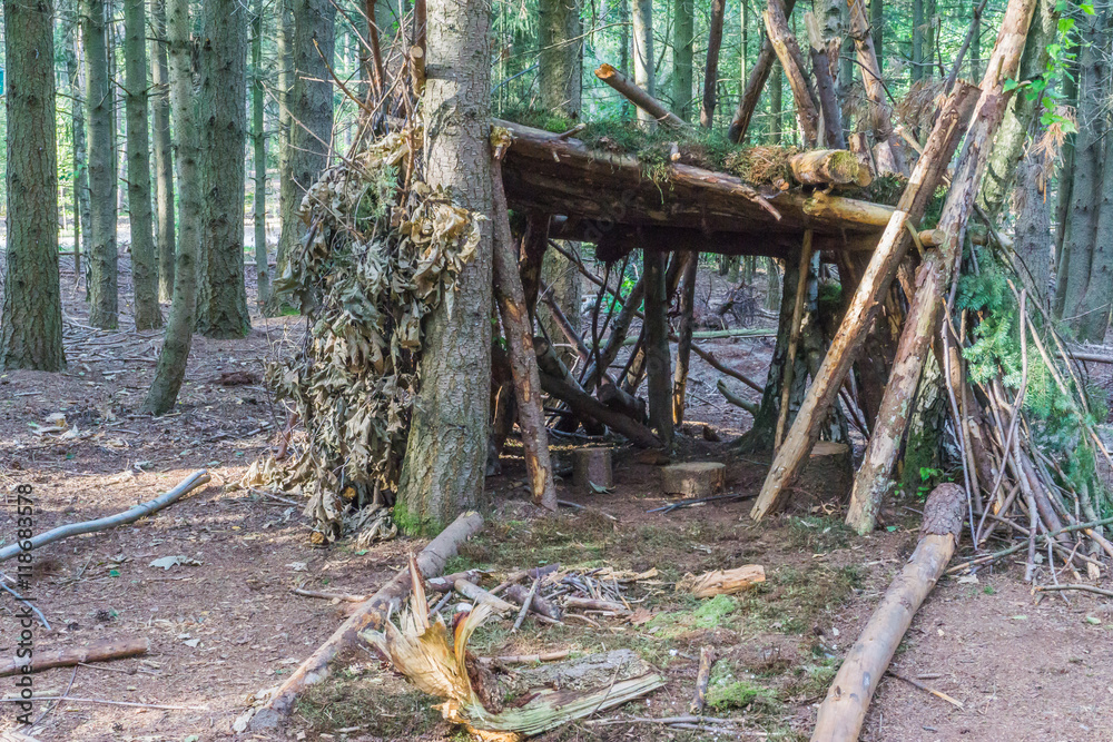 tree hut of branches and leaves forest view tree hut of branches and leaves forest view